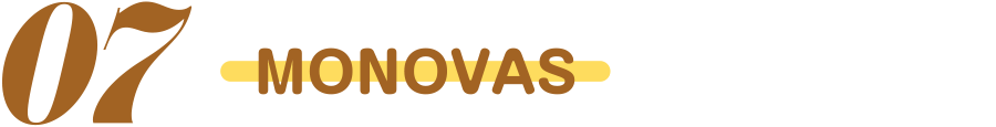 MONOVAS